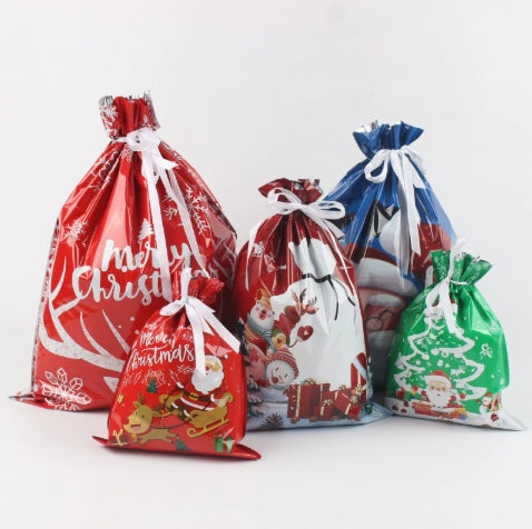 【Gift】Christmas Gift Bag Set (30 Pack)