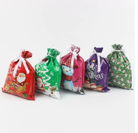【Gift】Christmas Gift Bag Set (30 Pack)