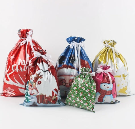 【Gift】Christmas Gift Bag Set (30 Pack)