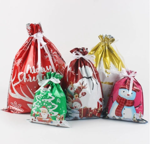 【Gift】Christmas Gift Bag Set (30 Pack)